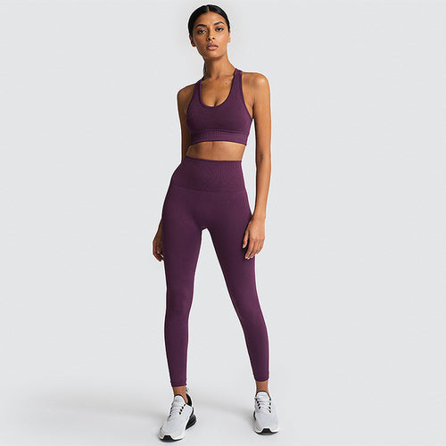 Women's Athleisure Yoga Sport Set - Sports Bra & Pants